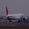 JAL B777@成田