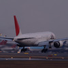 JAL B777@成田