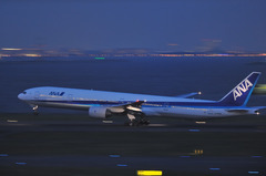 ANA B777-300@HANEDA