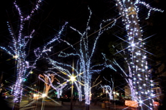 star tree
