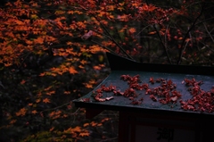 陰暗