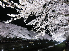 春の祭り