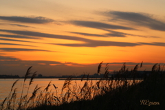 夕暮れ