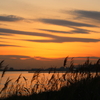 夕暮れ