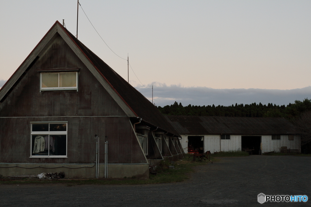 夕暮れの牧場