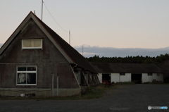夕暮れの牧場
