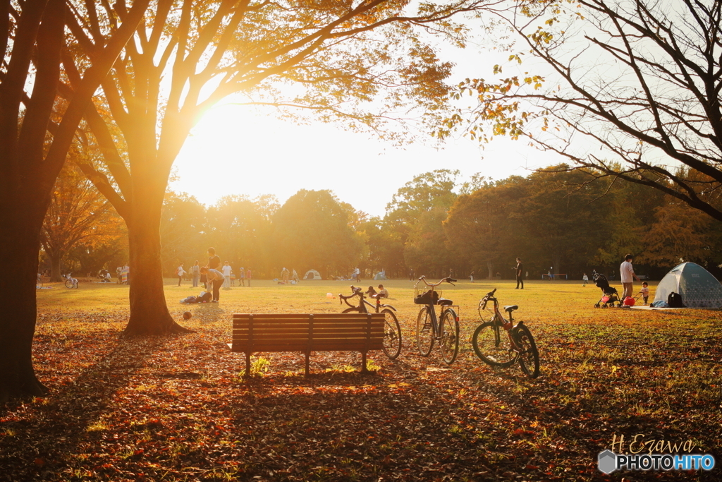 autumn park