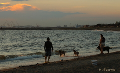 犬との時間