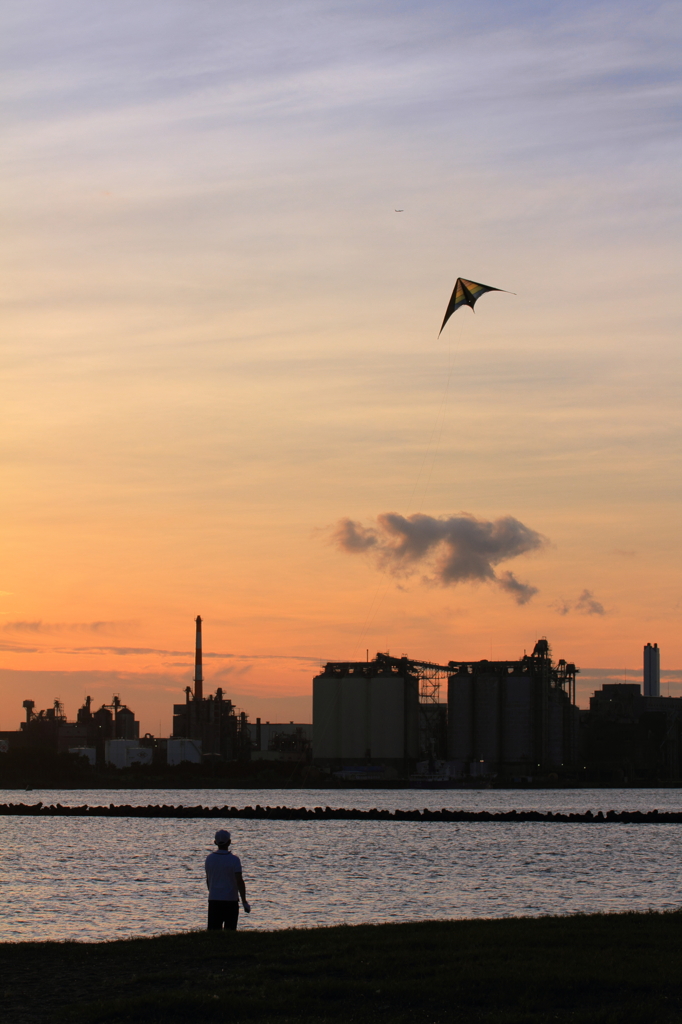 夕空に翔ぶ