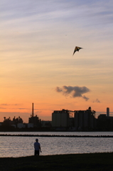 夕空に翔ぶ