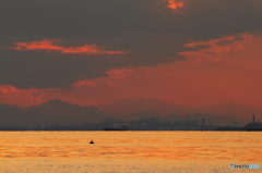 Orange Tokyo Bay