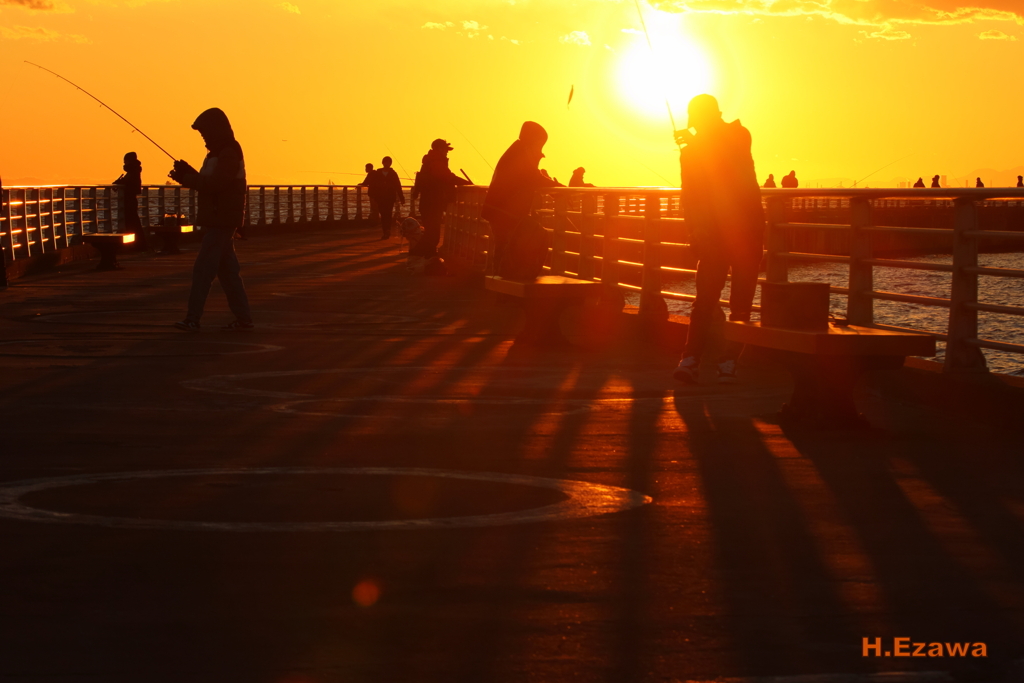 Enjoy in the evening