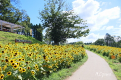 Bee Farm ICHIHARA