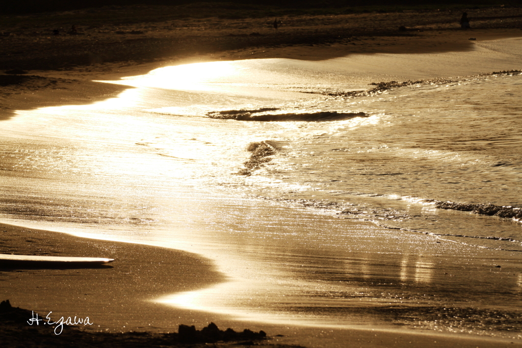 Golden shore
