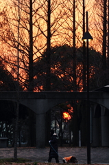 夕散歩