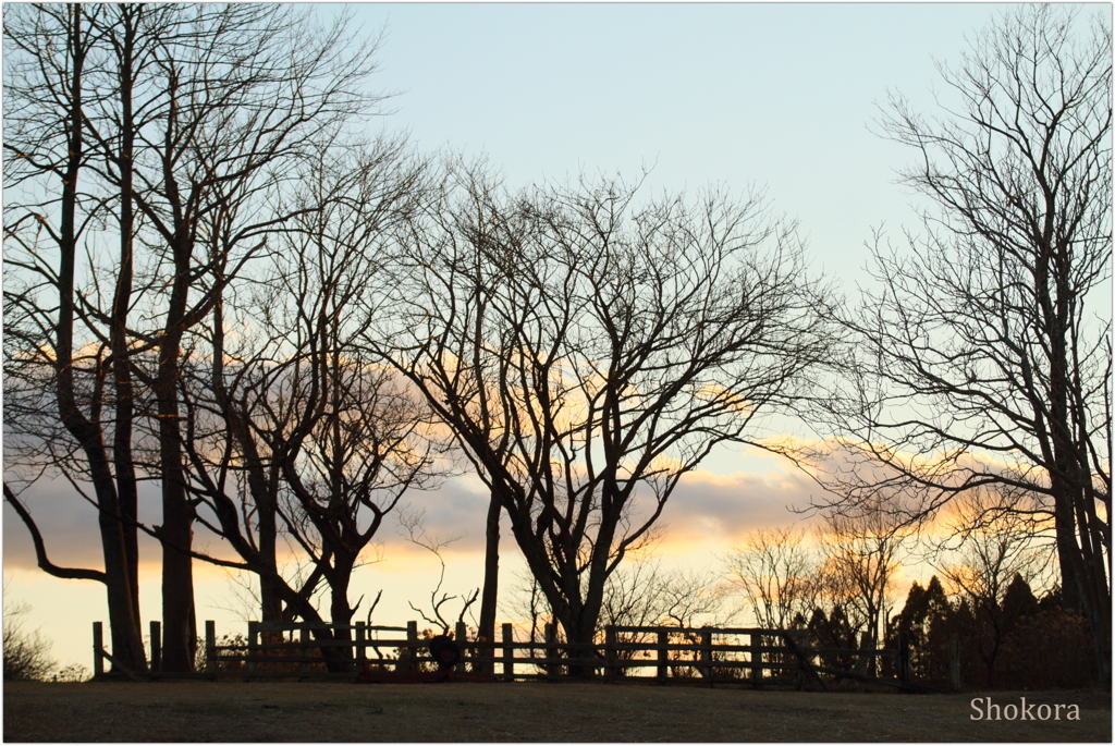 牧場の夕暮れ