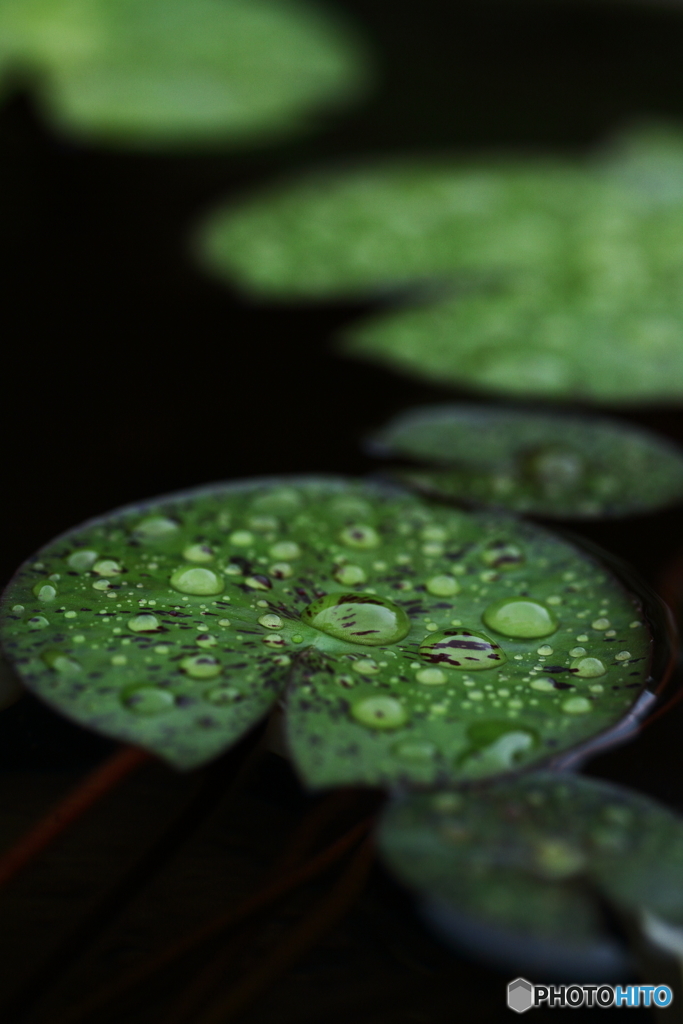 9月の雨