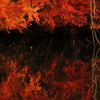 紅うつり