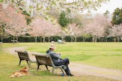 見おさめだワン