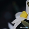 自己愛