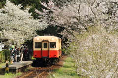 桜の駅