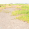 Field along the coast2