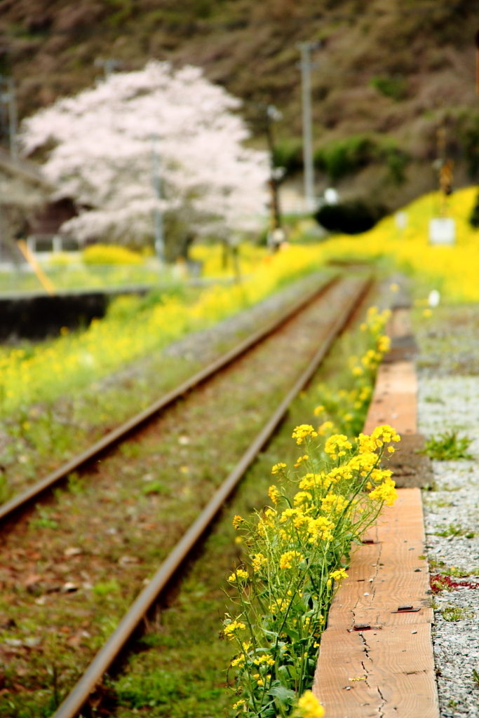 線路のある風景～ホーム～