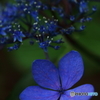 Deep blue
