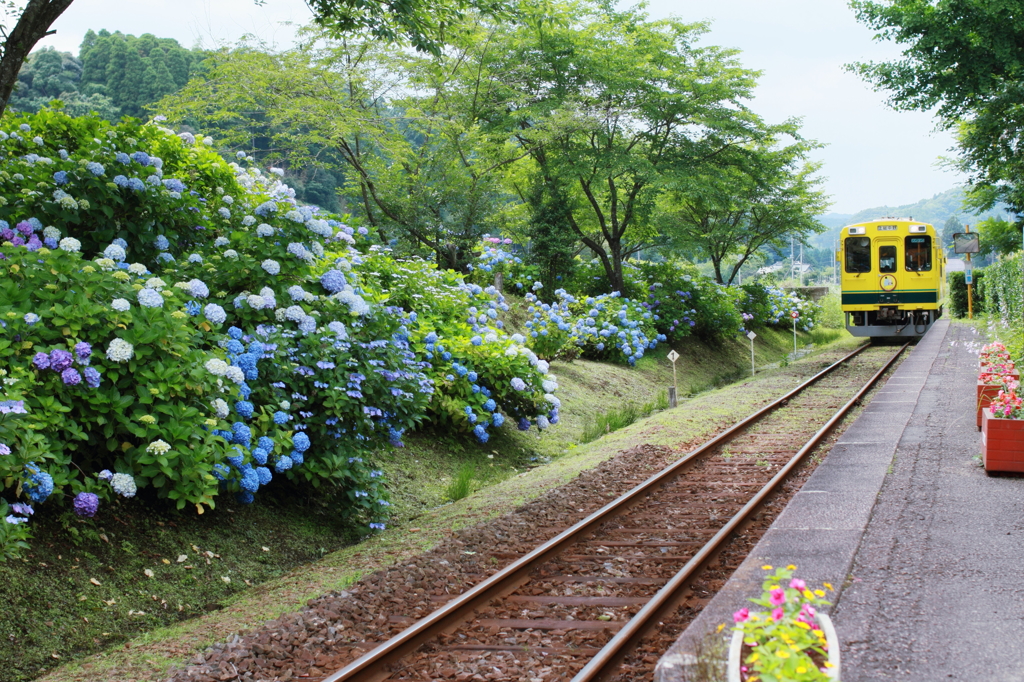 あじさい駅