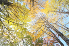 染まり始めた空