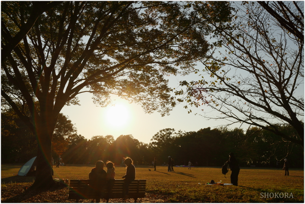 秋の公園