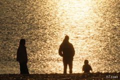 夕方の海