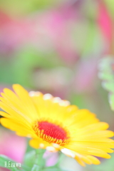 Loneliness2