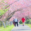 八重桜のトンネル2