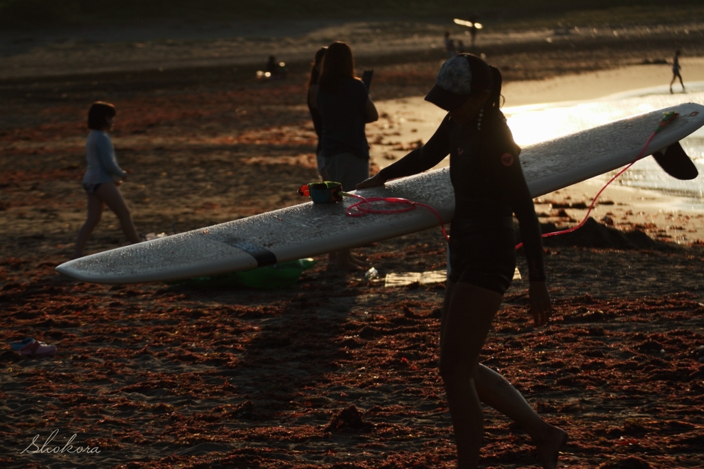 Evening surfer girl2