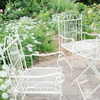 Beautiful garden