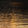 夕釣り