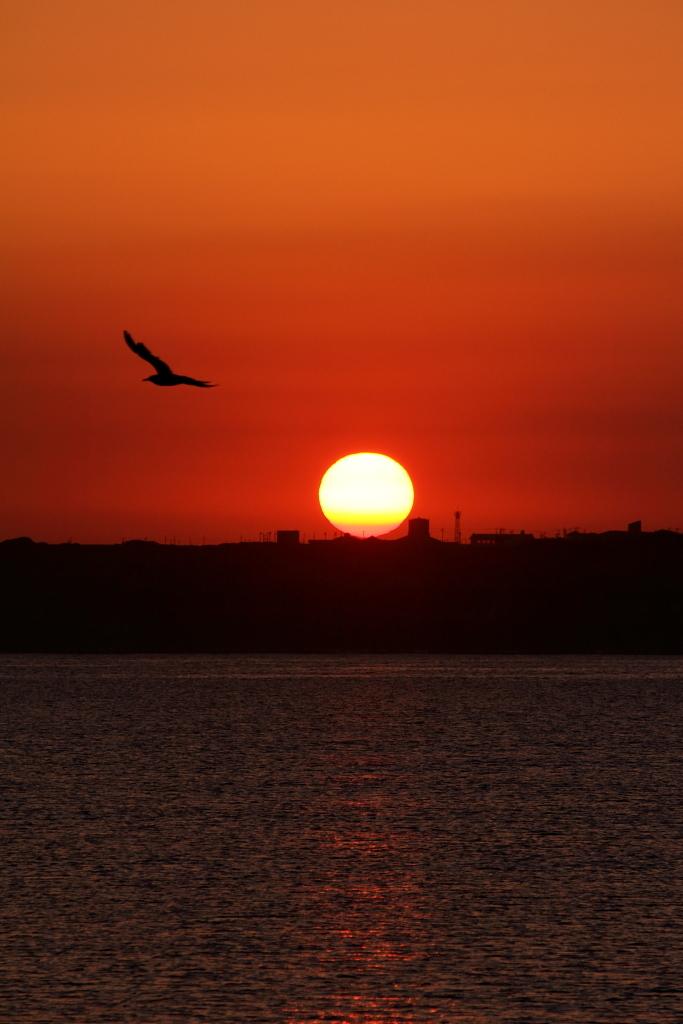沈む夕日