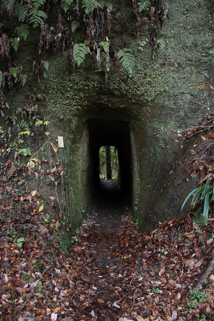 小さすぎるトンネル