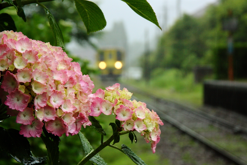 線路のある風景～梅雨～