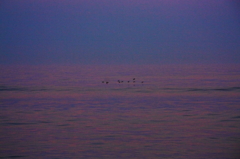 夕方の海Ⅱ