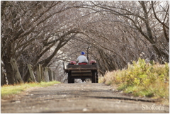 牧場のトラクター