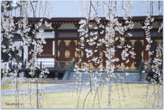 雨の栄福寺Ⅳ