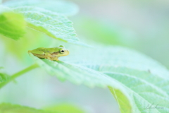 ここならちょっと涼しい