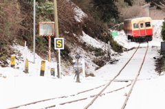 雪の中のツートンカラー