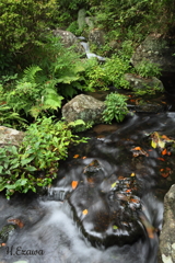 流れ