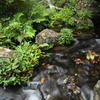 流れ