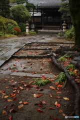 寺の落ち葉