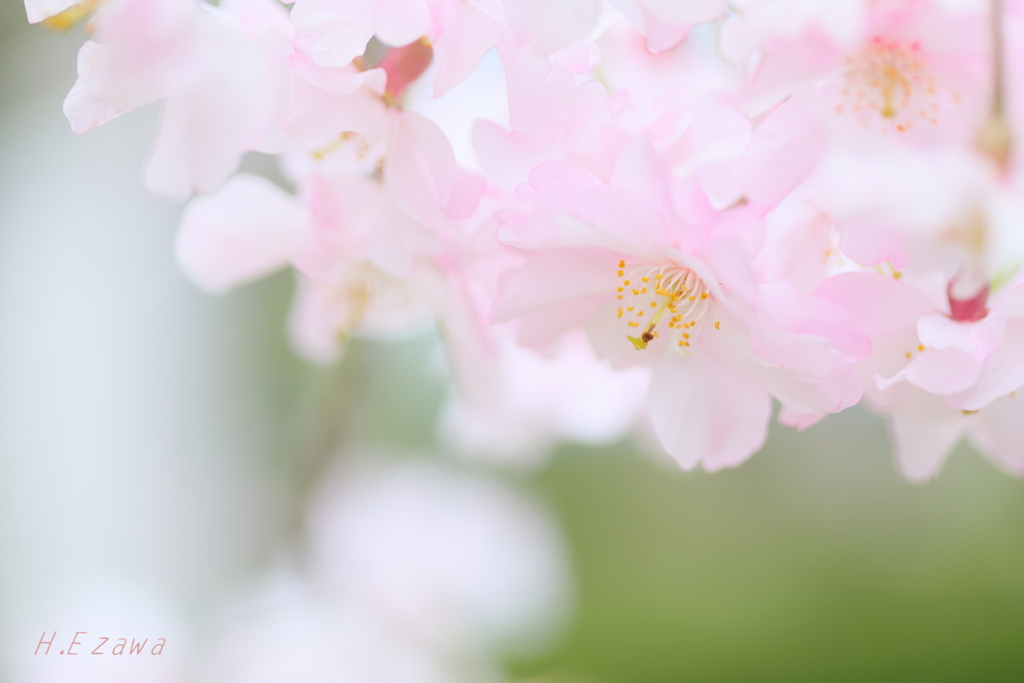 ふわっと