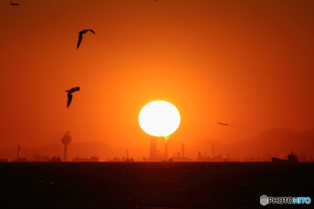 東京湾に飛ぶ